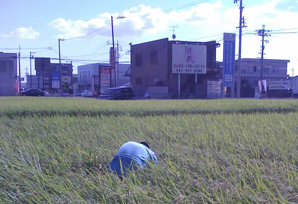 農業